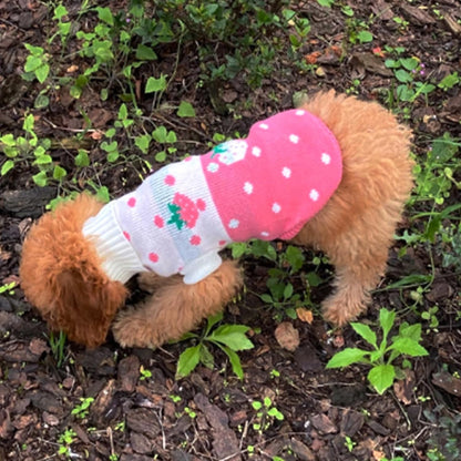 Pet Dog Sweaters Classic Knitwear Turtleneck Winter Warm Puppy Clothing Cute Strawberry and Heart Doggie Sweater (Pink, Medium)