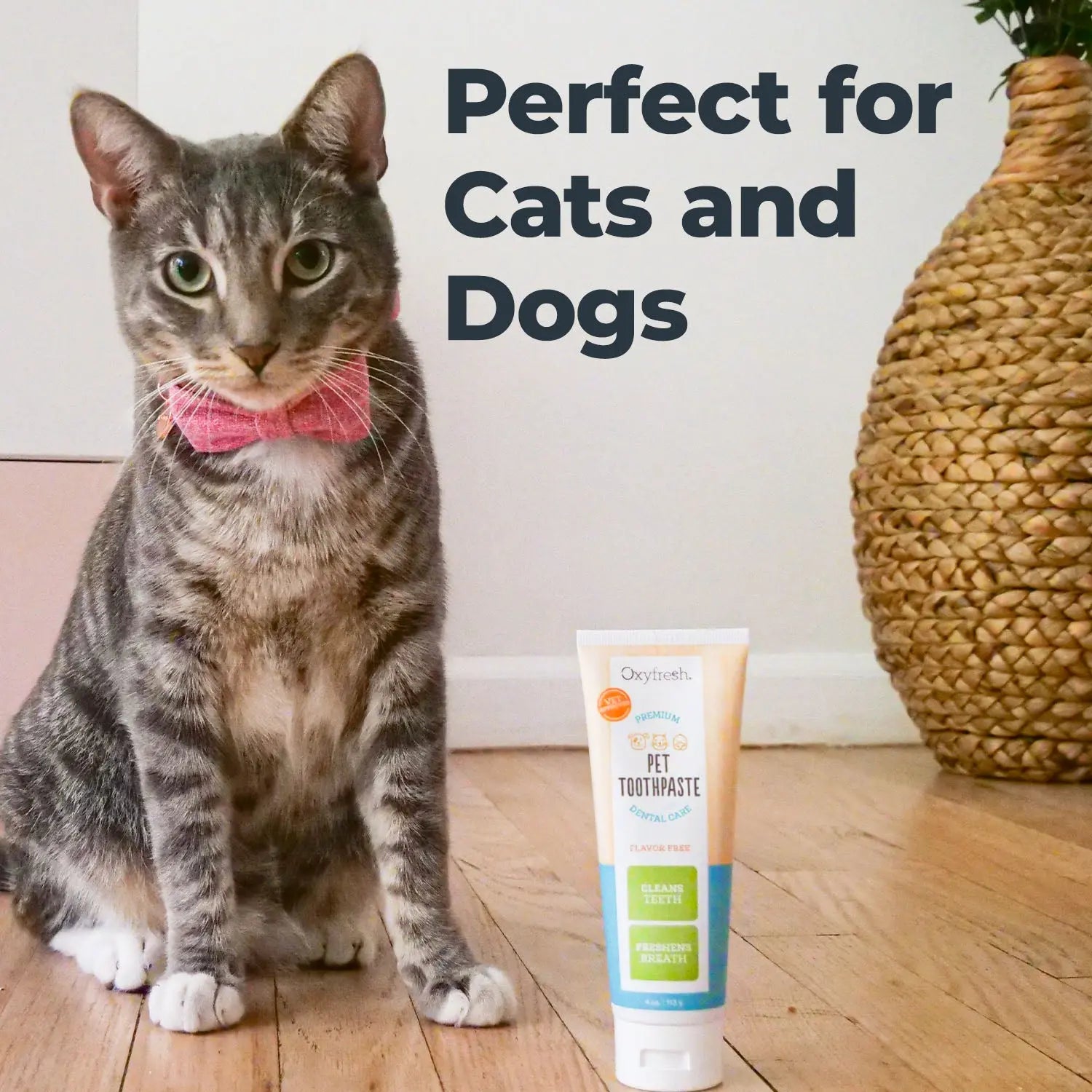 Premium Pet Toothpaste for Optimal Dental Care and Plaque Removal